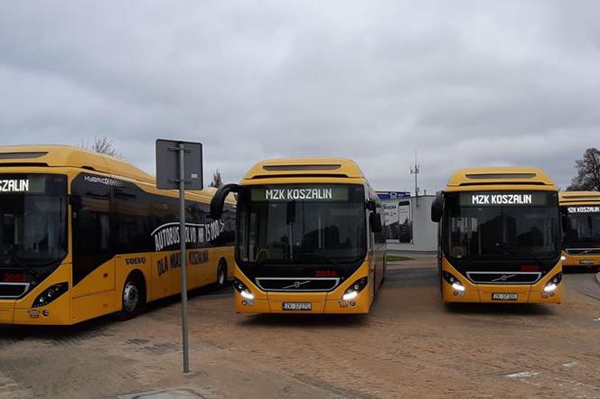 Koszalin: Jak kursują autobusy w święta 2019? Sprawdź rozkład MZK