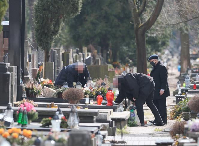 Prezes z palmą, Wałęsa bez