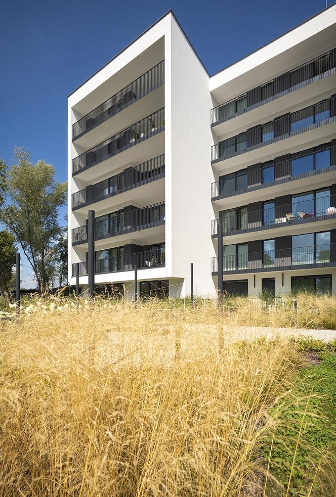 Lipska 16 w Krakowie