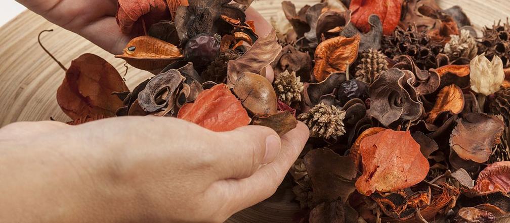 Potpourri 