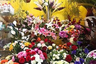 Przygotowania olsztyńskich kwiaciarni do Dnia Kobiet