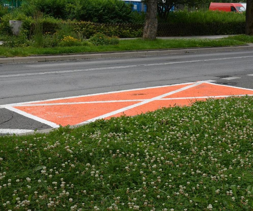 Pomarańczowa koperta parkingowa z białymi liniami, widoczna z poziomu ulicy, oddzielona od jezdni pasem zieleni z koniczyną. W tle zieleń krzewów i drzew, symbolizująca nowe zasady parkowania w Zakopanem. Więcej na Super Biznes.