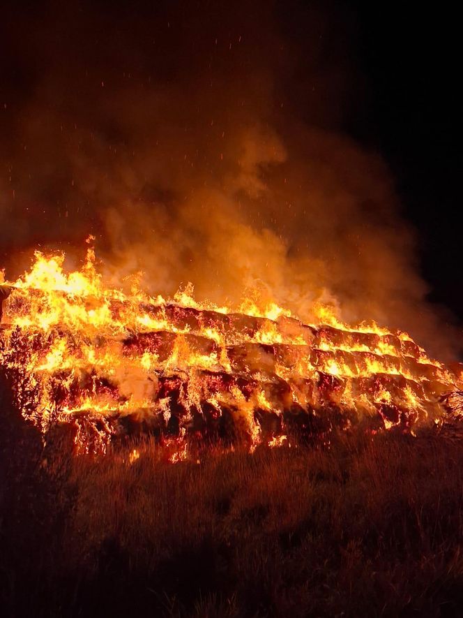 ​Pożar na Ostroroga w Lesznie. Spaliło się 600 balotów słomy 