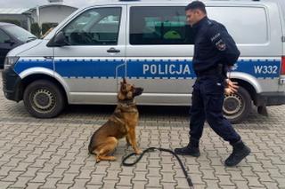 Magister zdał kolejny egzamin! Pijany kierowca nie miał z nim szans