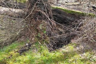 Nowe zapadlisko w Trzebini [12.04.2023] na ul. Jana Pawła II