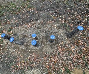 Serenity Park w Mysłowicach to nowe miejsce wypoczynku na Śląsku