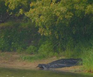 Tragiczne zdarzenie w Nowym Dworze Mazowieckim. Młody chłopak chciał przepłynąć Narew wpław