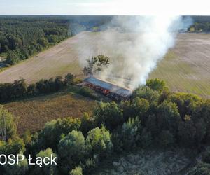 Pożar w Stadzie Ogierów w Łącku pod Płockiem