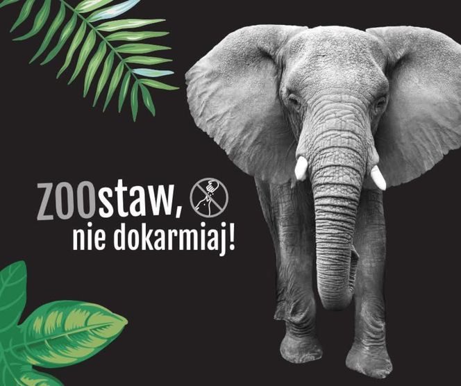 Niebezpieczna sytuacja w warszawskim ZOO i pilny apel do zwiedzających (2)