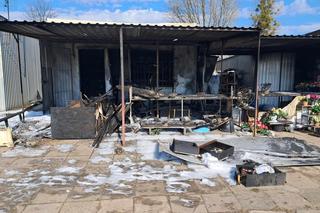 Tragiczny finał pożaru w Toruniu. Ogień pojawił się niespodziewanie, zginął piesek