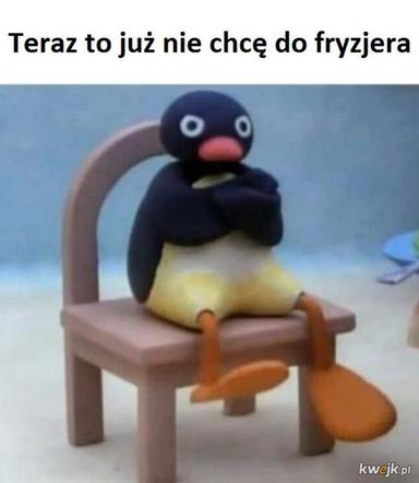 Memy o koronawirusie