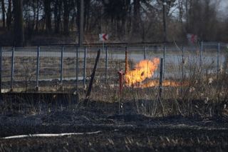 Pożar w Lubajnach pod Ostródą! Ogień zagraża schronisku dla zwierząt. Psy ewakuowane!