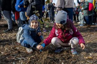 Nad Wisłokiem posadzono 200 drzew. Akcja  „Czyste, zielone miasta” w Rzeszowie
