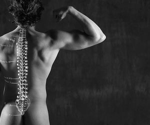 Kręgosłup – budowa i funkcje kręgosłupa