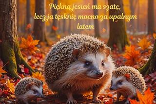 kartki na dzień dobry jesień