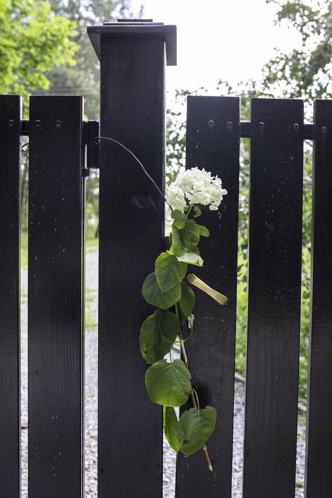 Kora Jackowska - kwiaty pod jej domem w dniu śmierci artystki