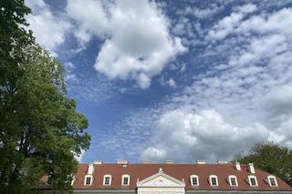 Ogród dendrologiczny w Przelewicach 2024