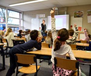 Quiz z wiedzy szkolnej. Tego uczą się w podstawówce! Tak łatwy, że to wstyd mieć mniej niż 8/10 punktów