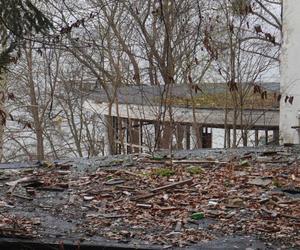 Opuszczone sanatorium Zdrowie w Gdyni Orłowie. Ruiny