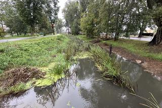 Odolanów czeka na wielką wodę