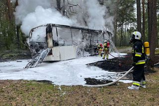 Pożar autobusu z przedszkolakami w Wielkopolsce! W pojeździe było 44 dzieci i 5 opiekunów