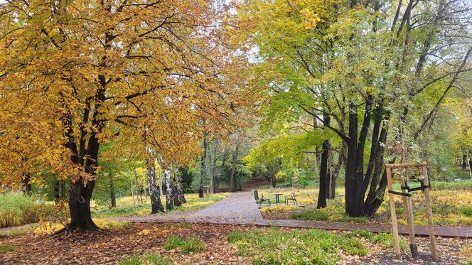 To najpiękniejszy park miejski w Olsztynie według AI. Zajmuje niemal 13 hektarów!