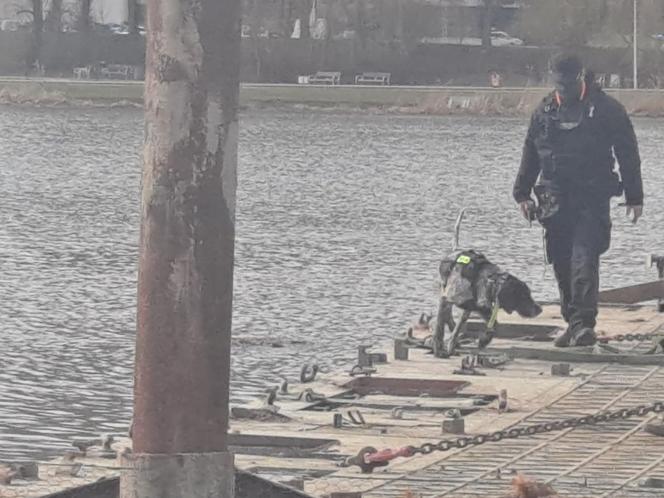  Rzeszów. Tajemnicze zaginięcie 25-latka. Gdzie jest Mariusz Michalik? Szukają go od stycznia [ZDJĘCIA]