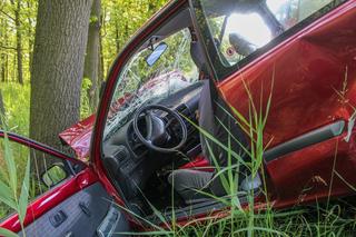 Pijany 18-latek roztrzaskał auto o drzewa, w wypadku zginął jego pasażer. Nowe informacje