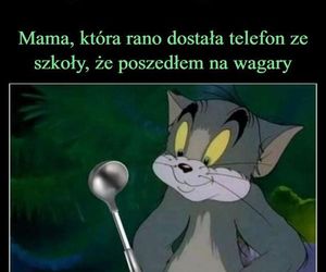 MEMY: 1 Dzień wiosny i Dzień Wagarowicza