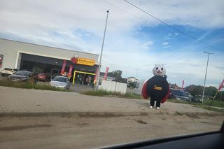 Biedronka na tle Biedronki