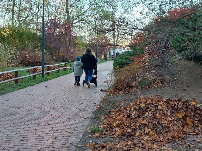 ​Statek dla dzieci w Parku Tysiąclecia w Lesznie odzyska dawny blask. Wymienią stare elementy placu zabaw, dołożą nowe