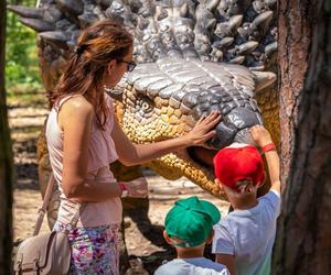 Wyjątkowa okazja do zabawy dla fanów dinozaurów. W Solcu Kujawskim zapowiada się wielkie świętowanie