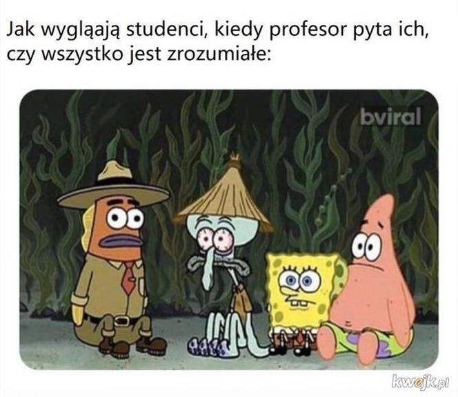 17 listopada. Dzień Studenta. Zobacz najśmieszniejsze MEMY!