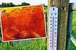 Pierwsza prognoza pogody na jesień dla Polski. Meteorolodzy pokazali temperatury