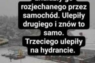Najlepsze zimowe memy 