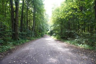 Las Kabacki w Warszawie