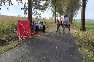Dramat na drodze. 34-latek roztrzaskał się na drzewie. Nie miał szans przeżyć