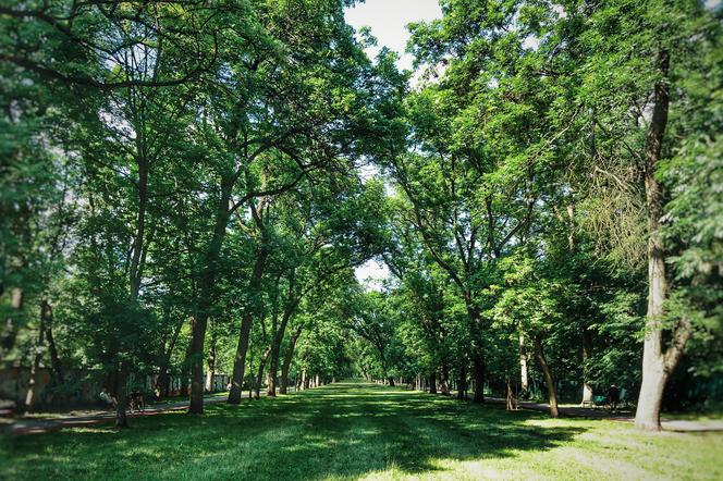 W upalne dni uciekamy do parków