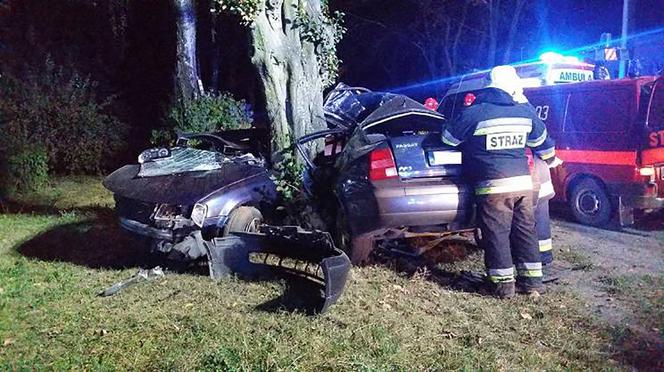 Gnał 190 km/h, roztrzaskał się na drzewie