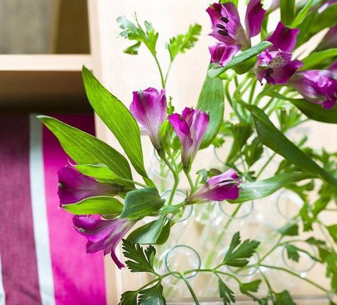 Bukiety do kuchni: natka pietruszki i alstromeria