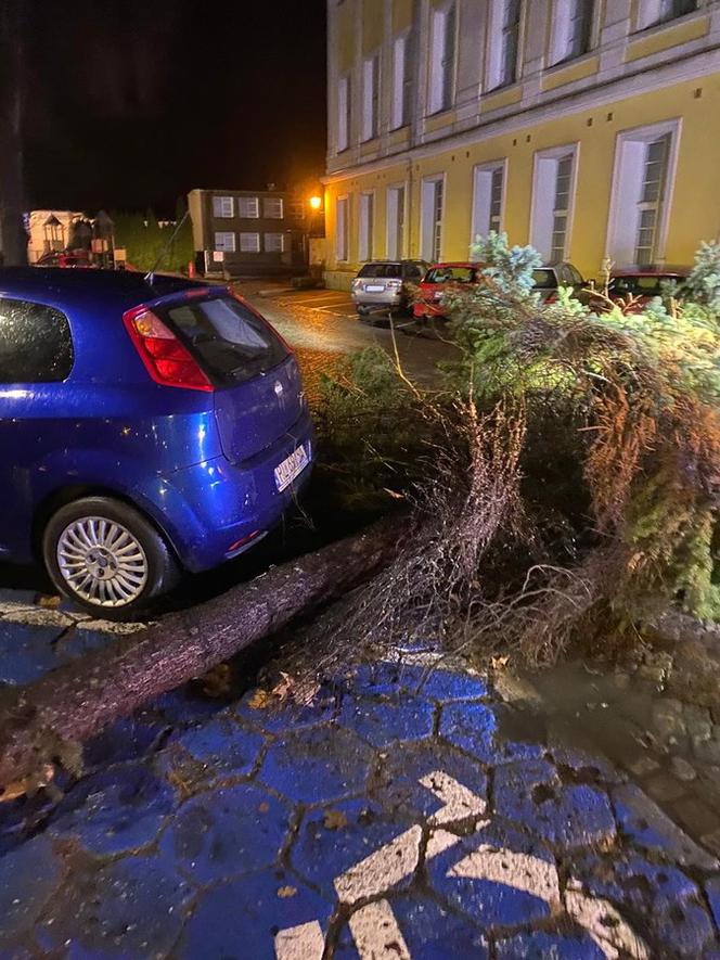Wichura znów narobiła szkód w Lesznie i powiecie