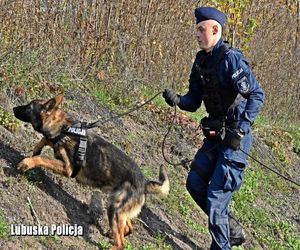 77-latka zgubiła się na grzybobraniu. Mundurowi apelują