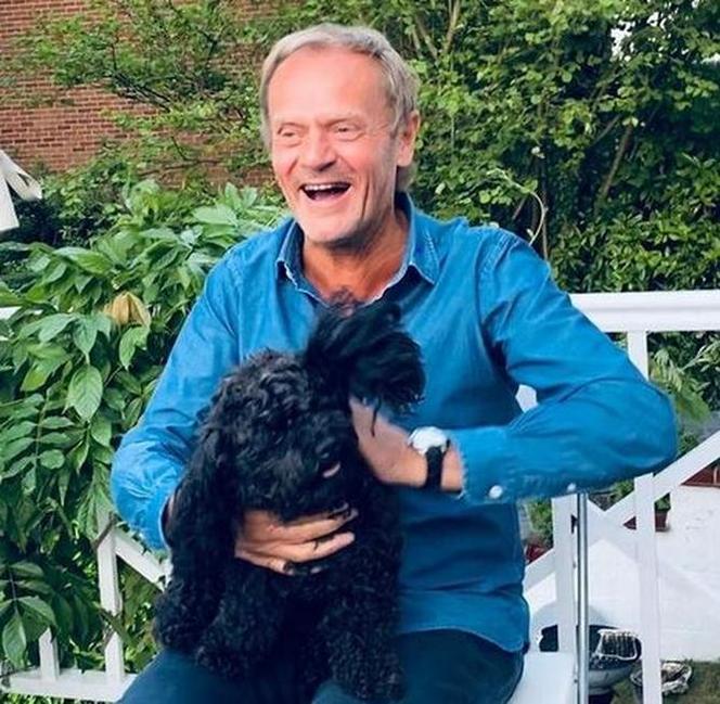 Donald Tusk 