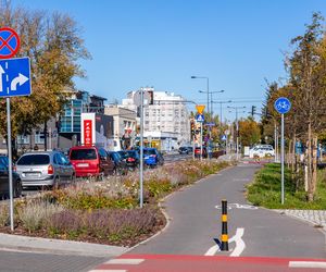 Park linearny na Bielanach w Warszawie