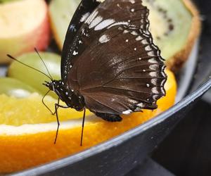 Światowy Dzień Fotografii. Z tych fotek są dumni nasi Czytelnicy! ZOBACZ