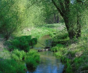 Godzinę od Warszawy leży „największy sad Europy”. To tu zabłądził sam król Kazimierz