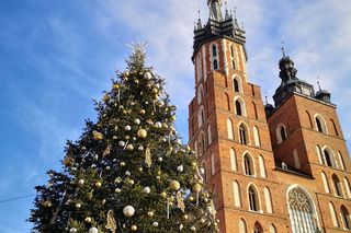 Kiedy uroczyste rozświetlenie choinki na Rynku Głównym? Znamy datę i program wydarzenia