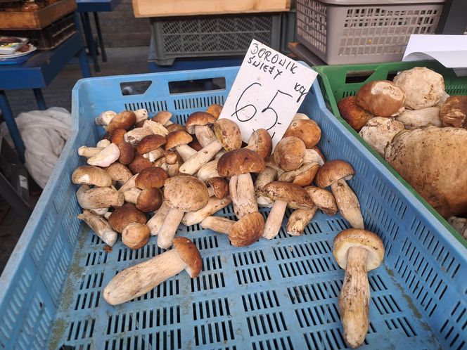 Ceny grzybów na Nowym i Starym Kleparzu w Krakowie