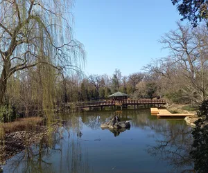Od jutra wrocławski Ogród Japoński dostępny dla odwiedzających