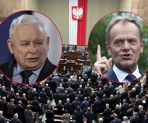 Nowy sondaż partyjny. KO i PIS niemal z identycznym wynikiem